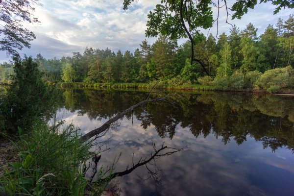 Национальный природный парк Мещера