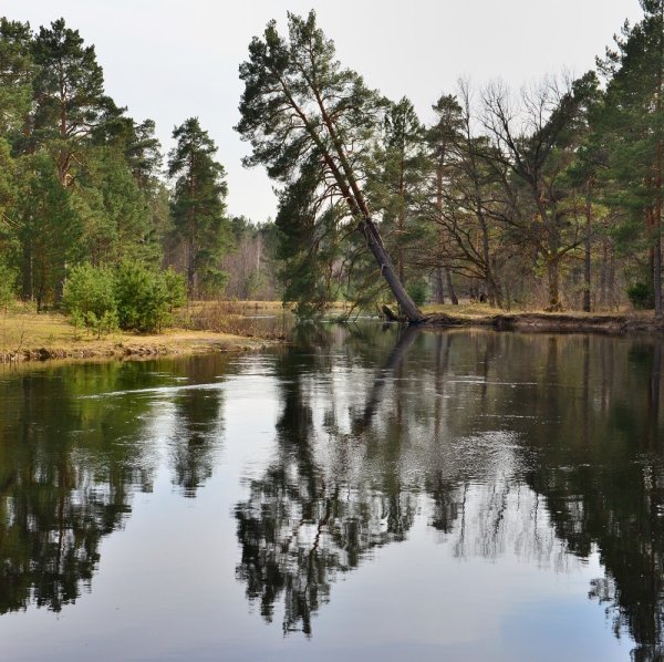 Мещёра национальный парк