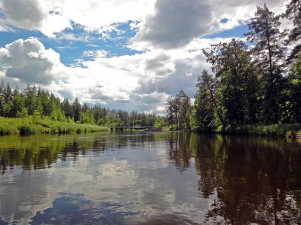 Парк Мещера Гусь Хрустальный