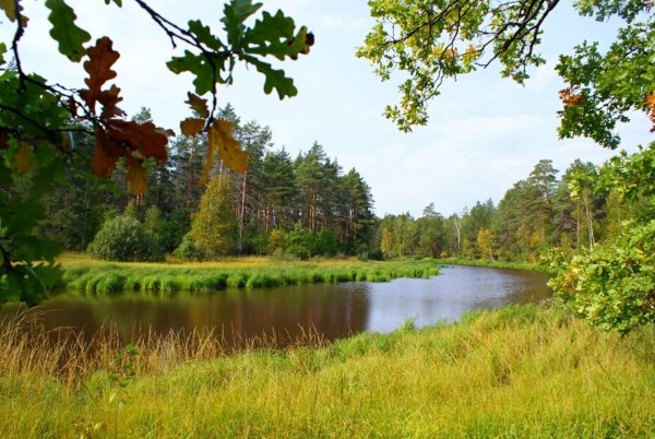 Мещёрский национальный парк Рязанской