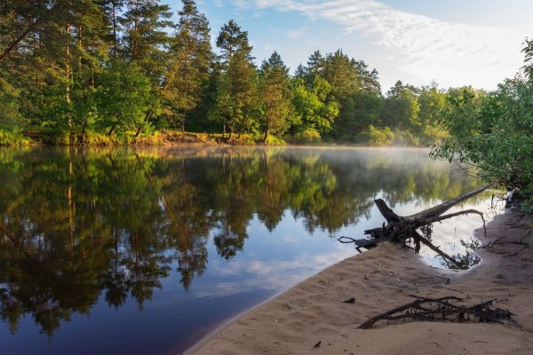 Мещерский заповедник в Рязанской области