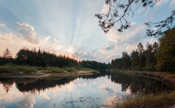 Мещёрский национальный парк Рязанской области
