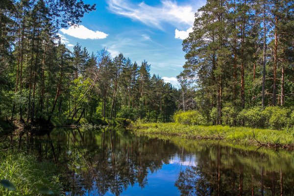 Мещёра национальный парк