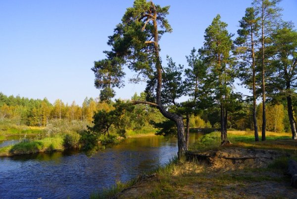 Мещёрский национальный парк Рязанской