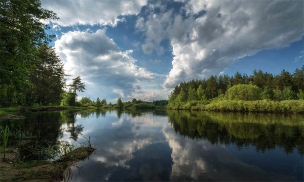 Национальный парк Мещера Рязанская область