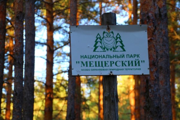 Мещёрский национальный парк Рязанской области