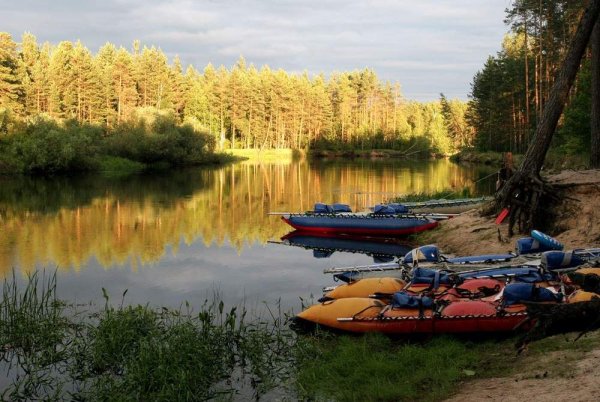 Мещёрский национальный парк