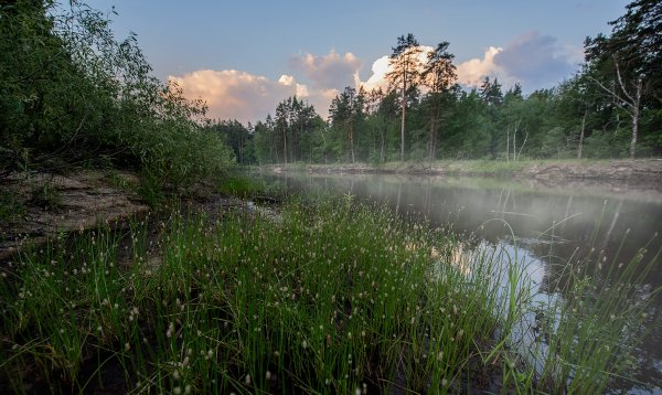 Национальный парк Мещёра во Владимирской области