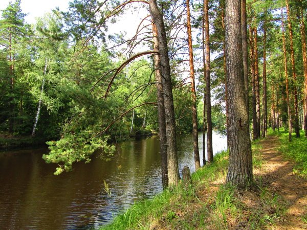 Парк Мещера Гусь Хрустальный