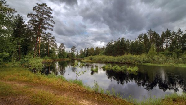 Национальный парк Мещера Гусь-Хрустальный