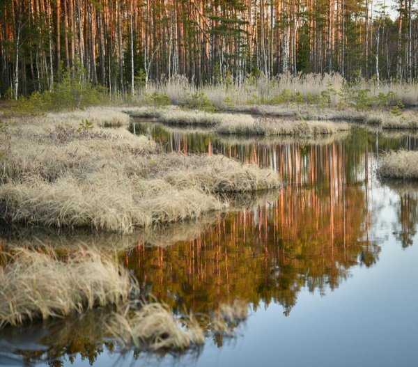 Национальный парк Мещера Гусь-Хрустальный
