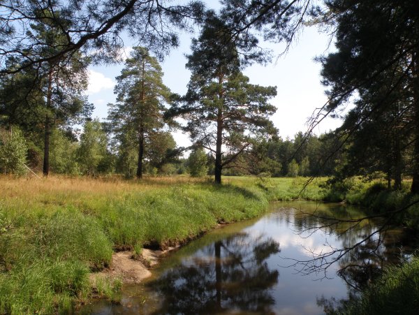 Национальный парк Мещера река Бужа