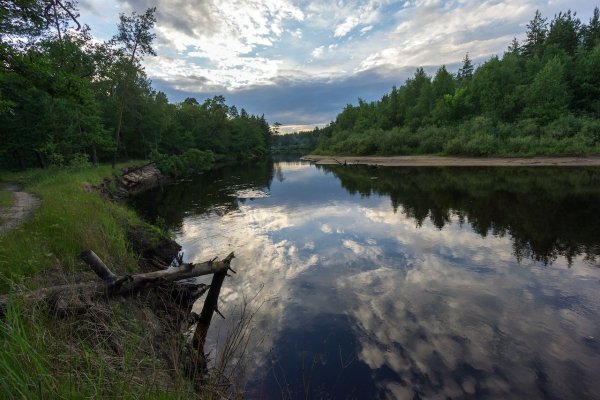 Заповедная Мещера