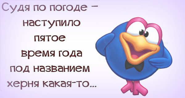 Приколы про погоду