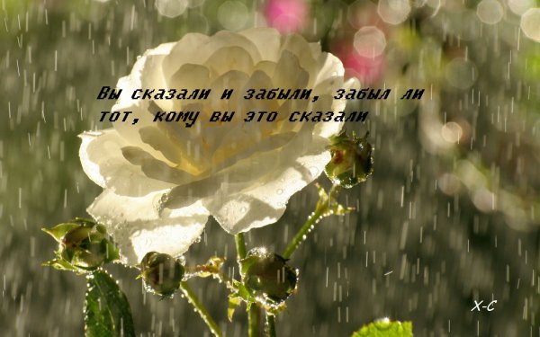 С добрым дождливым утром анимация