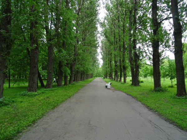 Южная аллея Приморский парк Победы
