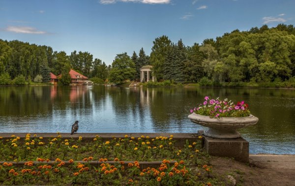 Приморский парк СПБ