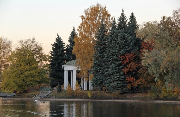Приморский парк Крестовский остров