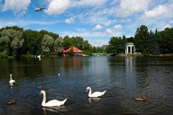 Приморский парк Победы: Крестовский проспект, 23а