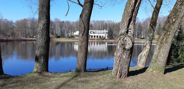 Приморский парк Победы Санкт-Петербург Весна