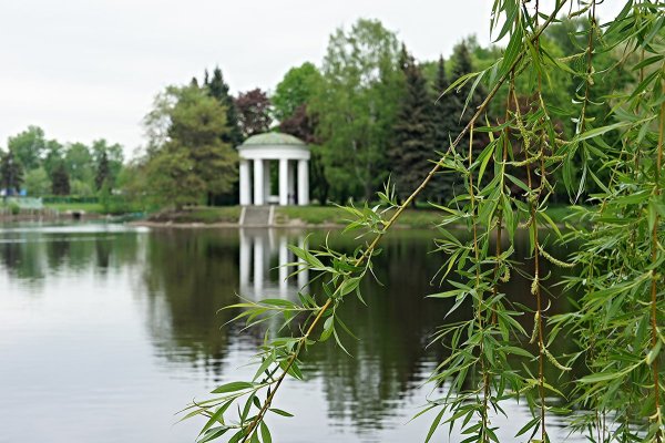 Приморский парк Крестовский остров