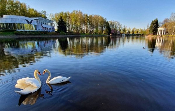 Приморский парк Победы лебяжий пруд