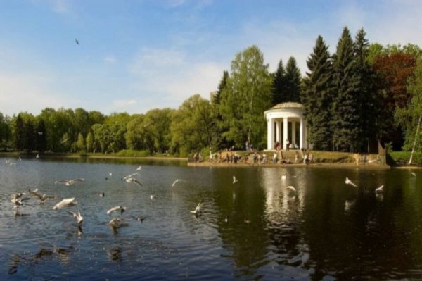 Крестовский остров парк Победы