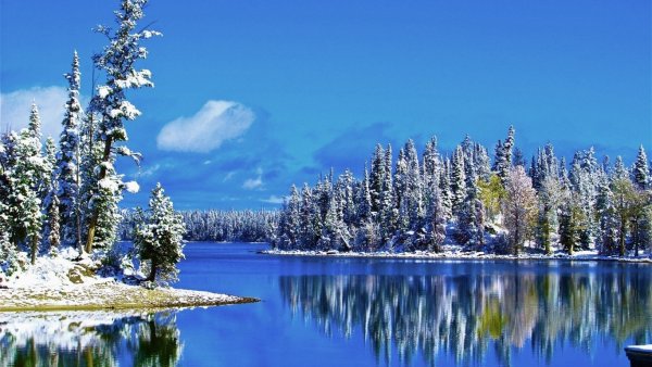 Зимнее озеро в лесу