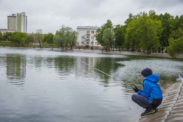 Парк Якутова Уфа аллея