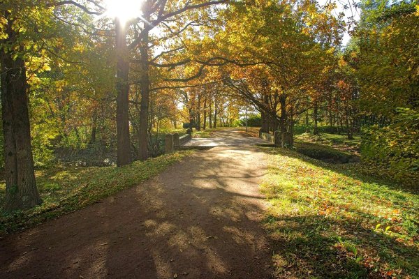 Парк Дубки в Сестрорецке