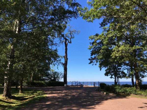 Сестрорецкий парк Дубки