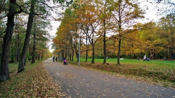 Парк Дубки Санкт-Петербург