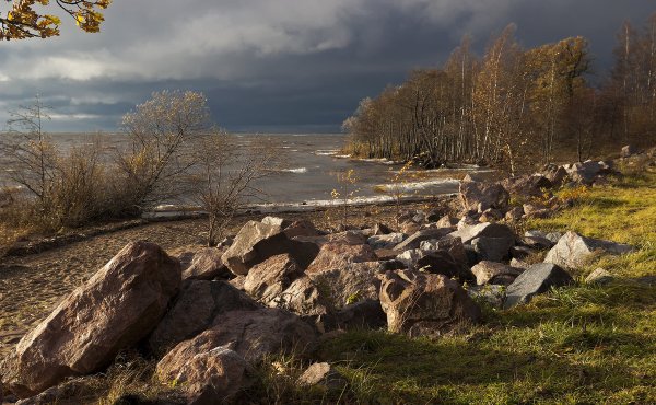 Дубки Сестрорецк