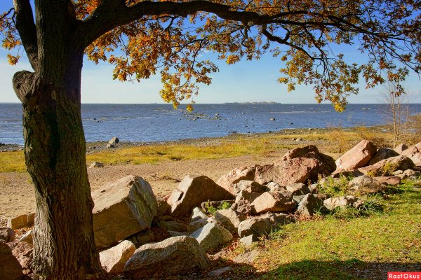 Сестрорецкий парк Дубки