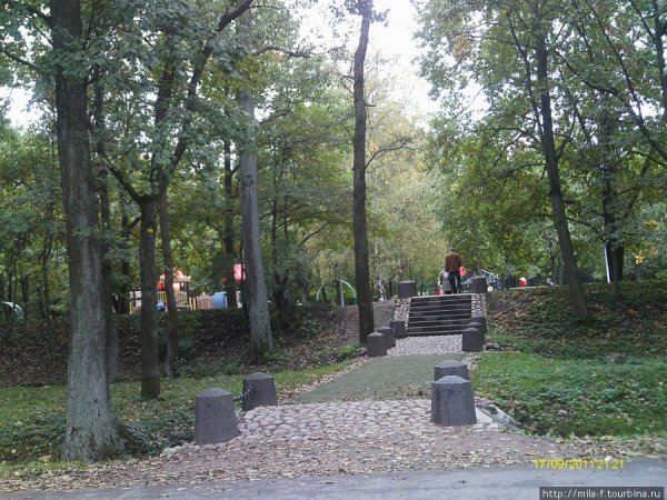 Сестрорецкий парк Дубки