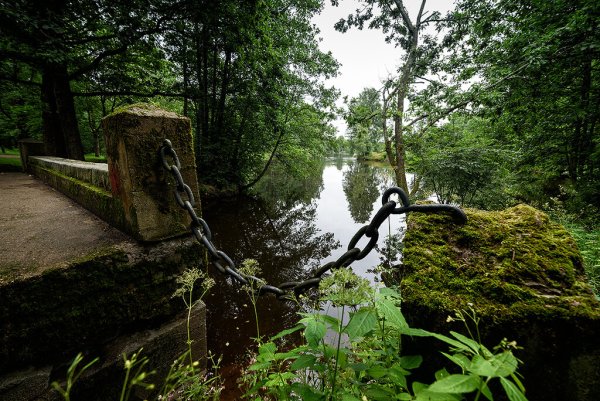 Парк Дубки в Сестрорецке