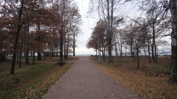 Парк Дубки в Сестрорецке