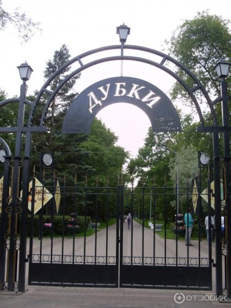 Г. Сестрорецк, парк «Дубки»