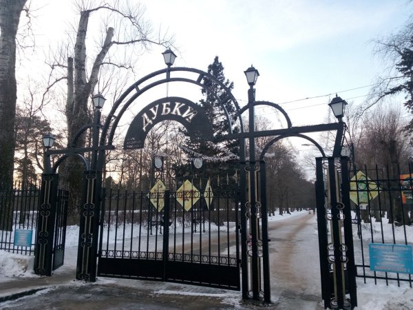 Парк Дубки в Сестрорецке