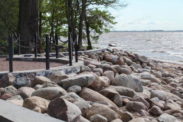 Парк Дубки Сестрорецк официальный сайт