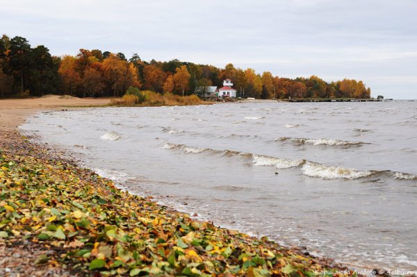 Парк Дубки в Сестрорецке