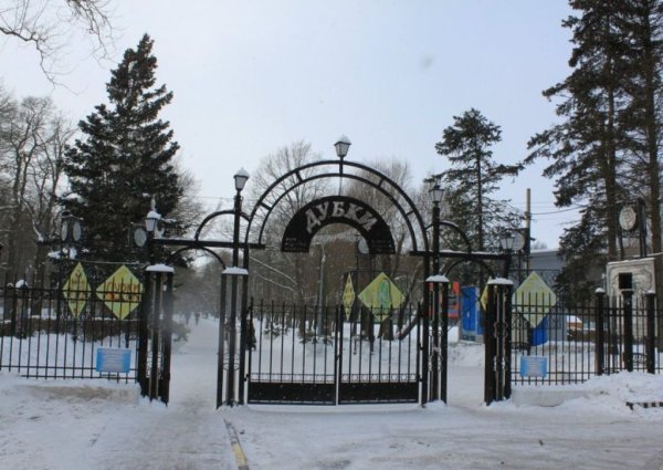 Парк Дубки Сестрорецк , памятники