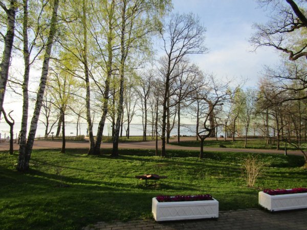 Г. Сестрорецк, парк «Дубки»