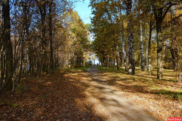 Парк Дубки Сестрорецк осень
