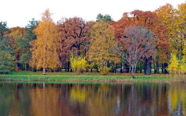 Парк дубкисестрорецка