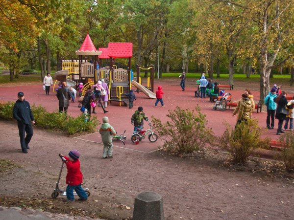 Дубки Сестрорецк