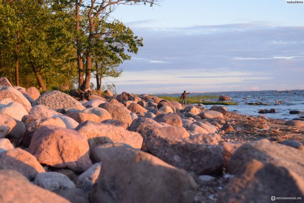 Парк Дубки в Сестрорецке