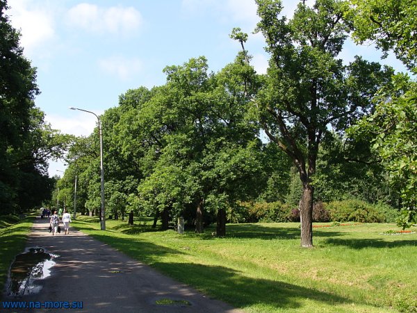 Парк Дубковский Сестрорецк