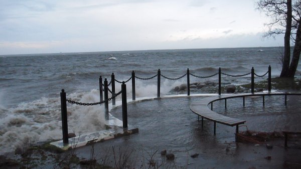 Парк Дубки в Сестрорецке смотровая площадка