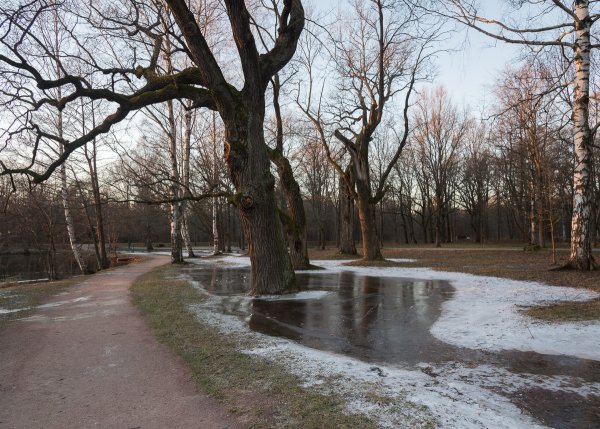 Парк Дубки Санкт-Петербург